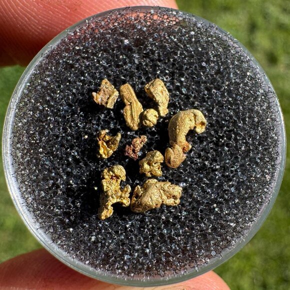 Gold Nuggets from California - 0.50 grams - Picture 1 of 4